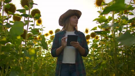 A-young-female-student-in-a-straw-hat-and-plaid-shirt-is-walking-on-a-field-with-a-lot-of-big-sunflowers-in-summer-day-and-writes-its-properties-to-her-ipad-for-scientific-article.